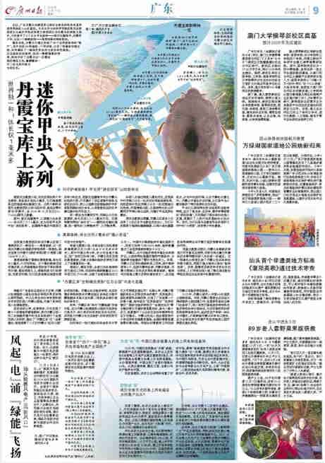 汕頭首個非遺類地方標(biāo)準(zhǔn)《潮陽英歌》通過技術(shù)審查